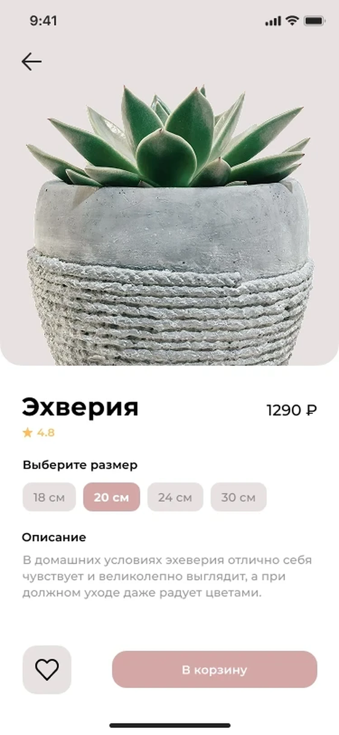 Plant Shop Mobile App Concept — image 3 of 3