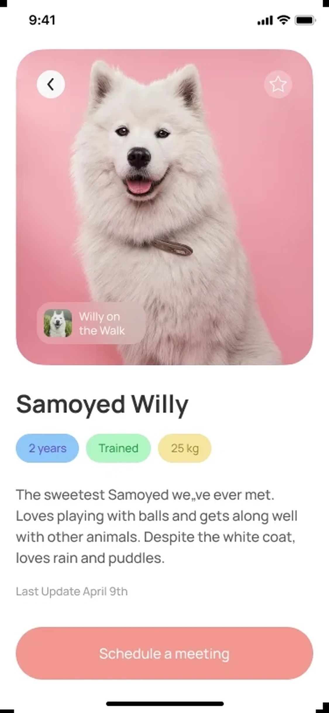 Takee Pet Adoption App UI Concept — image 3 of 3
