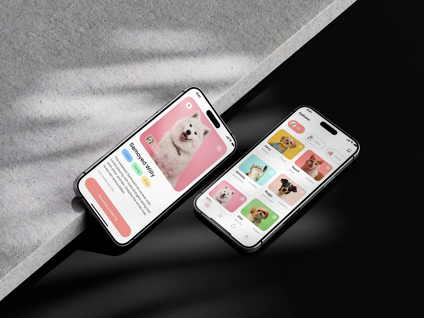 Takee Pet Adoption App UI Concept project cover